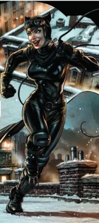 Catwoman - Lee Bermejo